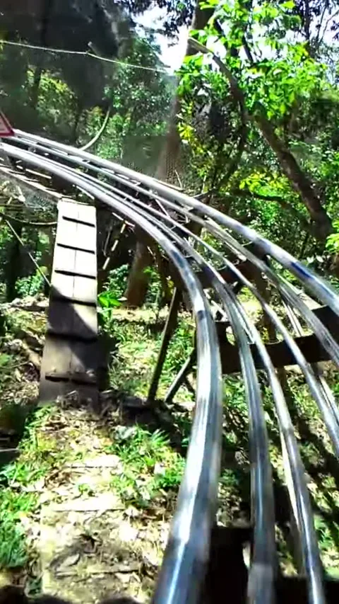 Трасса электросаней Alpine Coaster среди тропической зелени в Далате