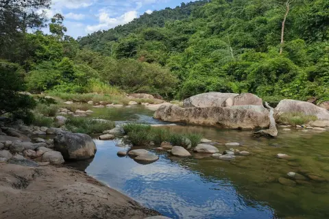 Едем в Kong Forest — парк активностей в Нячанге